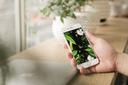 files/media/catalog/product/i/p/iphone-6s-64gb-quoc-te-like-new1_1.jpg