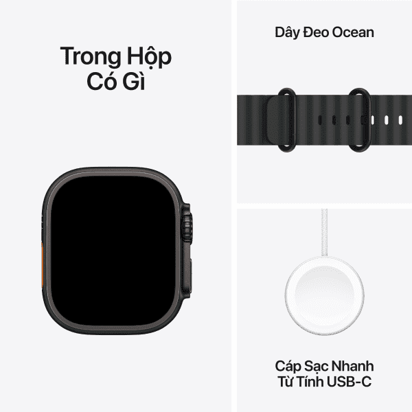 Apple Watch Ultra 2 (2024) 49mm (LTE) Viền Titan - Dây Ocean